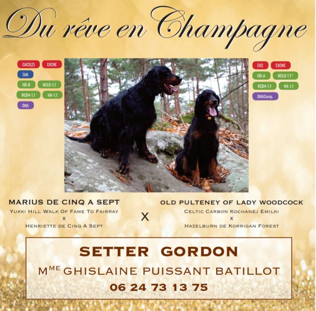 Du Rêve En Champagne - Naissance Pour La 1er semaine de Mai