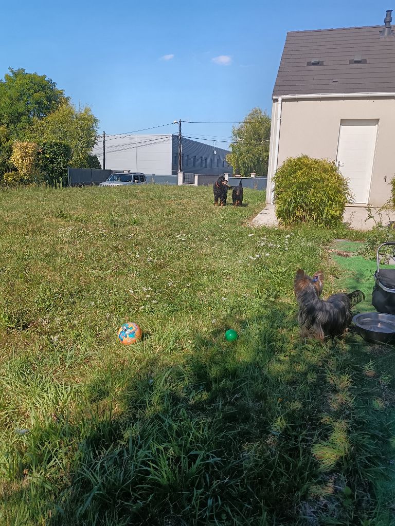 L'elevage Deménagement Reste dans la Marne  